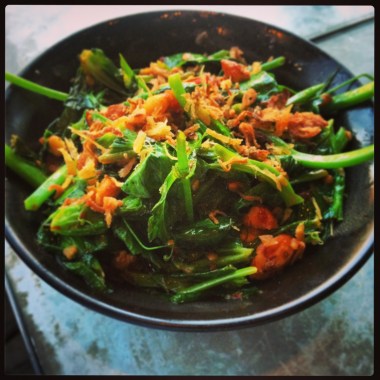 Little Sister - x.o. Pea Tendrils